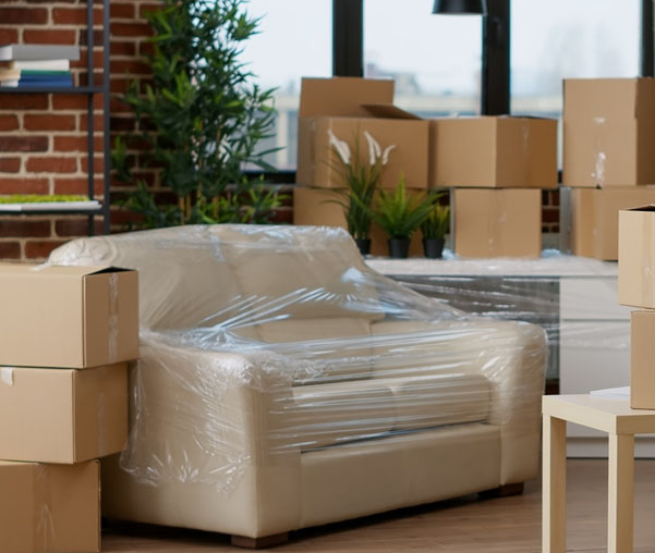 Deluxe Cargo Packers and Movers